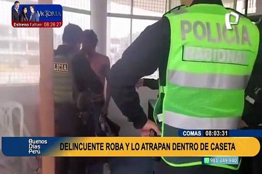 Comas: delincuente roba celular a pasajero y es atrapado dentro de caseta de serenazgo