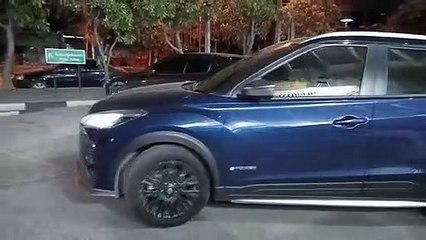 “ใบเฟิร์น พิมพ์ชนก” ให้ปากคำ ตร. หลังรีวิว รีสอร์ต รุกป่าสงวน