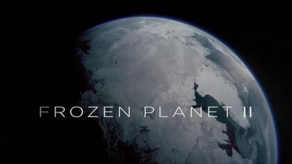 Frozen Planet II narrated by Sir David Attenborough • Ep5 Frozen Lands • BBC HD 1080p 2023
