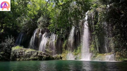 Relaxing Sleep Music, Meditation Music, Spa Music, Sleep Music, Study Music enjoy