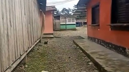 Empeora crisis humanitaria en Chocó