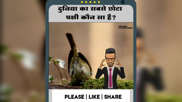 Duniya ka sabse chhota janwar ka naam kya hai| Duniya ka sabse chhota pakshi ka kya naam hai