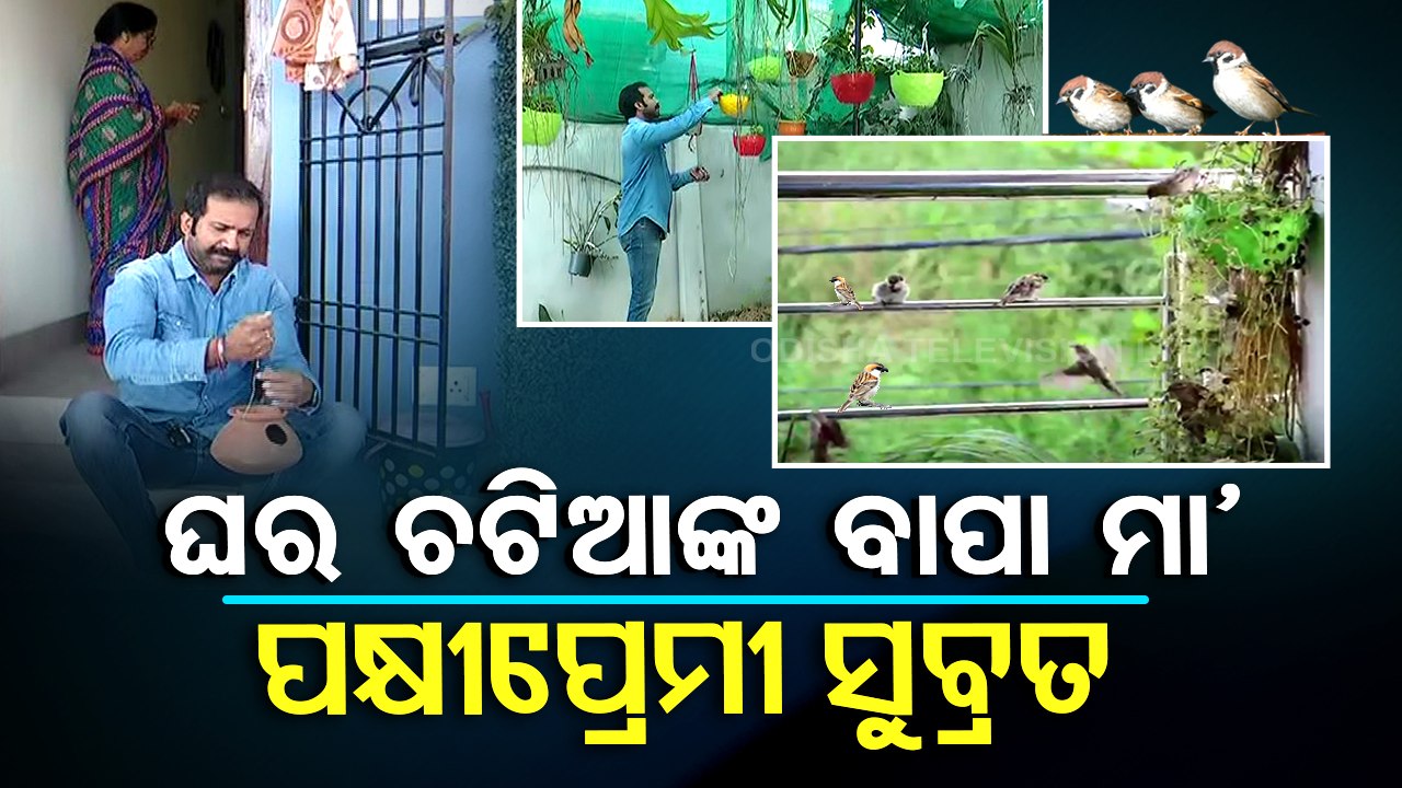 This Sambalpur man is on a mission to protect house sparrows