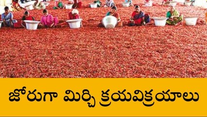 గుంటూరు జిల్లా: జోరుగా మిర్చి అమ్మకాలు