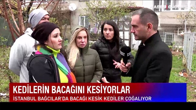 Hayvanseverler o mahalleye koştu: Kedilerin hep aynı bacağı kesiliyor