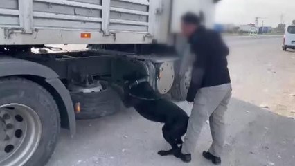 17 kilo 700 gram esrar ele geçirilen tırın sürücüsü tutuklandı