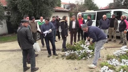 ÇANAKKALE - Türkiye'nin en büyük adasında tarımsal ürün çeşitliliği artırılıyor