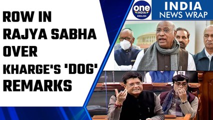 下载视频: Parliament Winter Session: Piyush Goyal slams Mallikarjun Kharge over ‘dog’ remarks | Oneindia News