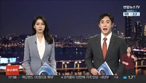 국내 '중국 비밀경찰서' 범정부 실태 파악…외교부 