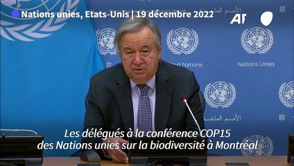 COP15 biodiversité: Guterres salue un "pacte de paix avec la nature"
