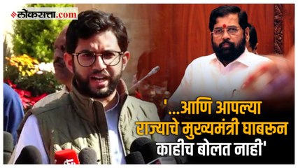 Aditya Thackeray on CM Shinde: महाराष्ट्र-कर्नाटक सीमावादावरून आदित्य ठाकरेंची राज्यसरकारवर टीका