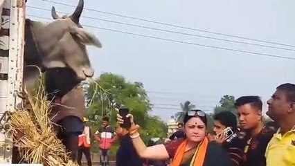 পূর্ব বর্ধমান:অবৈধ পাচারের অভিযোগ, গরু বোঝাই গাড়ি আটকালেন অগ্নিমিত্রা পল