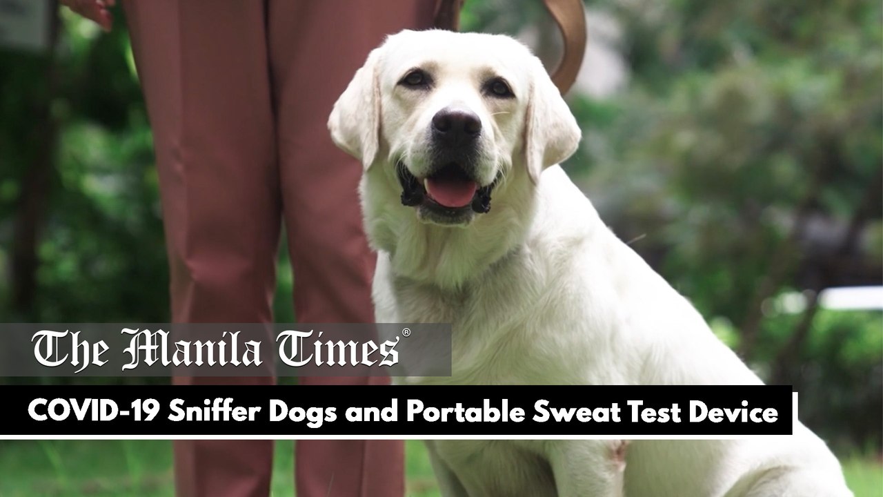 COVID-19 Sniffer Dogs and Portable Sweat Test Device