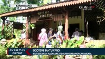 Eksotisme Banyuwangi Kian Jadi Primadona Wisatawan Lokal dan Mancanegara