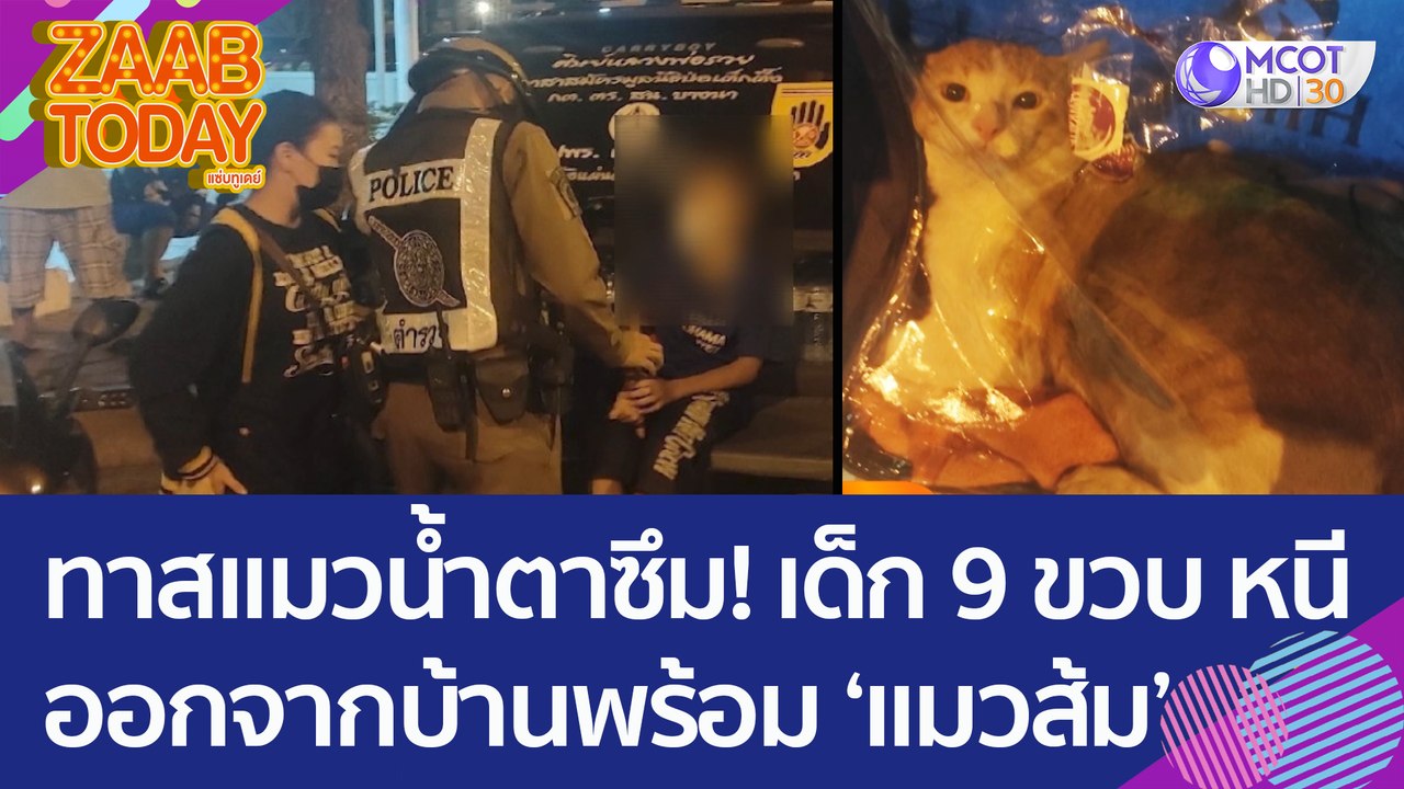 ทาสแมวน้ำตาซึม! เด็ก 9 ขวบ หนีออกจากบ้านพร้อมแมวส้ม จนท.แจ้งยายรับกลับบ้าน (20 ธ.ค. 65) แซ่บทูเดย์