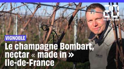 Vignoble : du champagne « made in » Ile-de-France