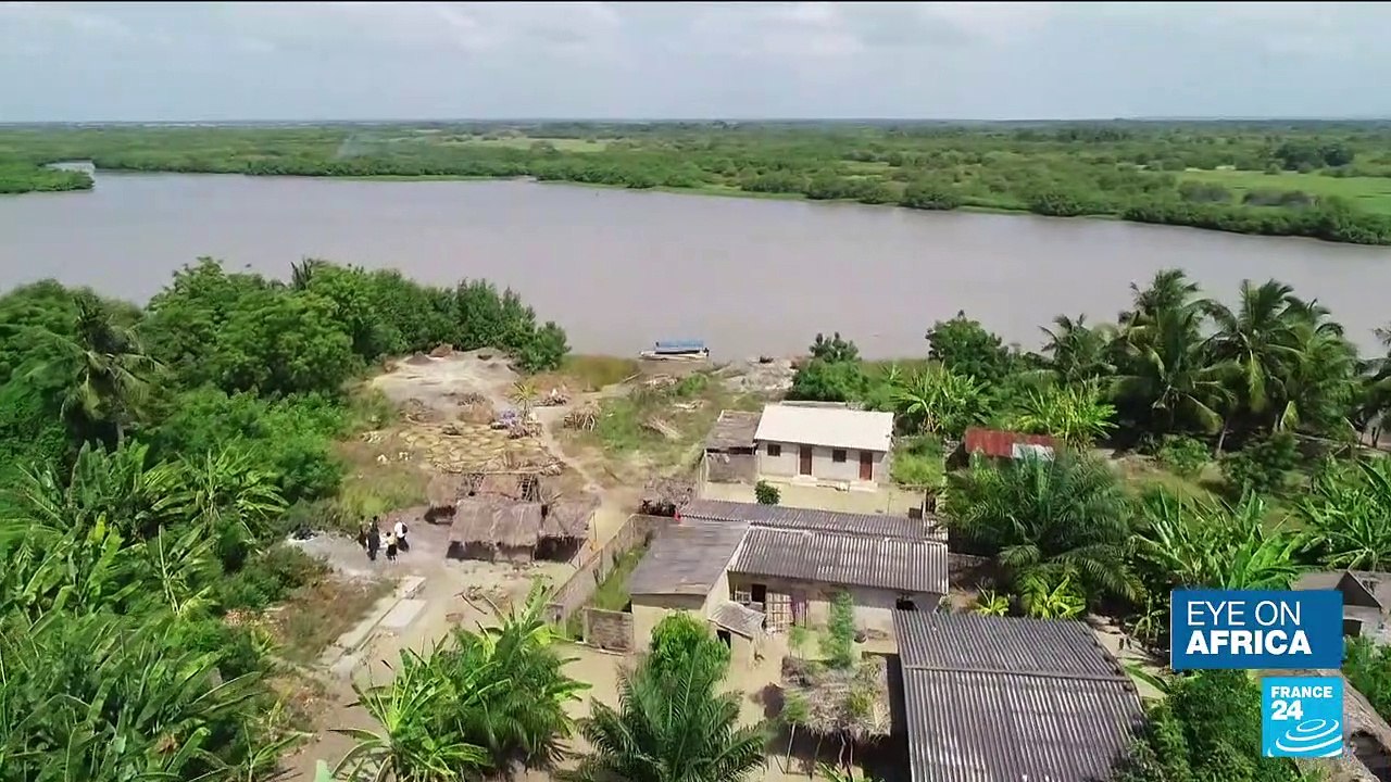In Benin and Togo, traditional beliefs are allies for protecting biodiversity