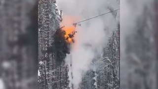 Un arbre s'enflamme après s'être effondré sur une ligne électrique
