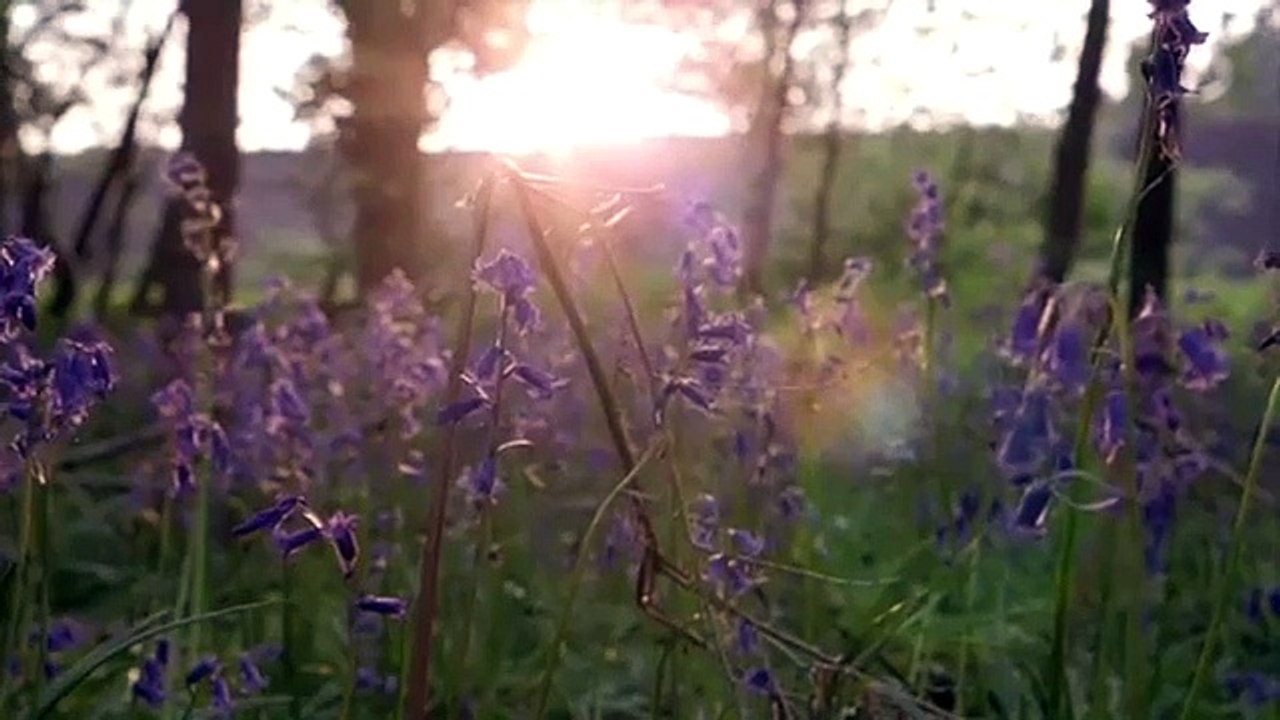 Air Crash Investigation - Se1 - Ep04 HD Watch HD Deutsch