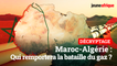 Maroc-Algérie : qui remportera la bataille des gazoducs ?