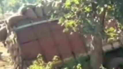 सिंगरौली: धान से भरे ओवरलोड ट्रक अनियंत्रित होकर खंती में जा घुसा