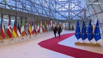 Bruxelles, riunione dei ministri dell'Unione europea. Un piano per gli habitat danneggiati