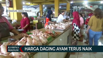 Harga Daging Ayam Terus Naik