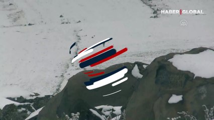 Kangal köpekleri, kurdu böyle kovaladı