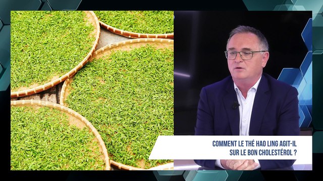 Les bénéfices du thé sur notre santé