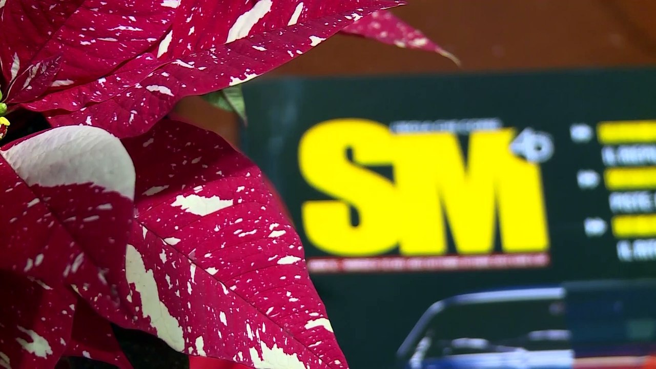 Sicilia Motori, da 40 anni sulla scena: la stor...