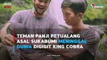 Alprih Priyono, Teman Panji Petualang Asal Sukabumi Meninggal Dunia Digigit King Cobra