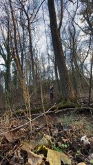 Girl jumps off ledge while holding tree brand then falls and lands on back