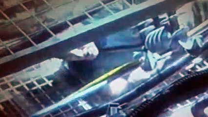 The Outer Limits Season 1 Episode 16 The New Breed