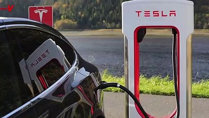 Tesla Owners Are Most Likely to Be Victims of Road Rage