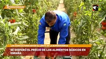 Se disparó el precio de los alimentos básicos en España