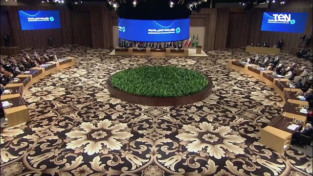 الرئيس السيسي : مصر تؤكد رفضها لاي تدخلات خارجية في شؤون العراق