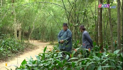 Phim Nghiệp Sinh Tử Phần 4 Tập 33 - THVl1 - Phim Việt Nam Hay Nhất 2022