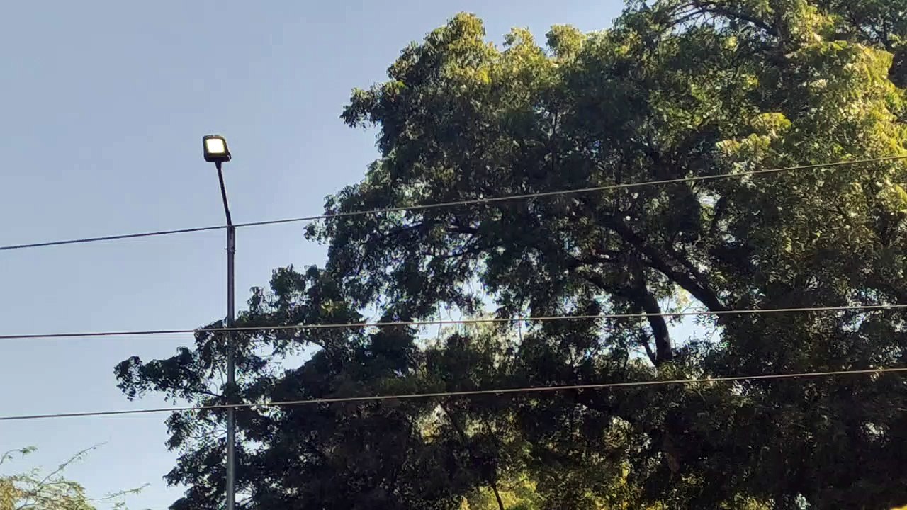 जिम्मेदारों की अनदेखी: बस्सी में दिन में ही जलत...