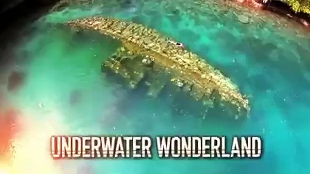 ABC News Nightline - Se1 - Ep08 HD Watch HD Deutsch