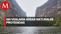 Diputada de Morena Busca que Guardia Nacional vigile áreas naturales protegidas