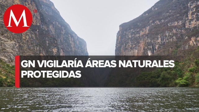 Diputada de Morena Busca que Guardia Nacional vigile áreas naturales protegidas