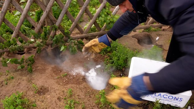 Cette brigade parisienne « endort » les rats avec de la glace carbonique