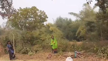 बक्सर: लकड़ी चुनकर खाना बनाना महिलाओं की बनी मज़बूरी, उज्जवला योजना की उड़ी धज्जियाँ