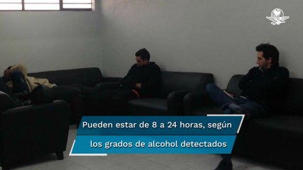 "Torito VIP" recibe a sus primeros 18 infractores