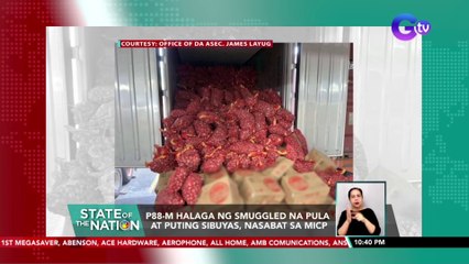P88-M halaga ng smuggled na pula at puting sibuyas, nasabat sa MICP | SONA