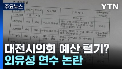 대전시의회 예산 털기 논란..."연수가 아닌 크리스마스 시즌 유럽 여행" / YTN