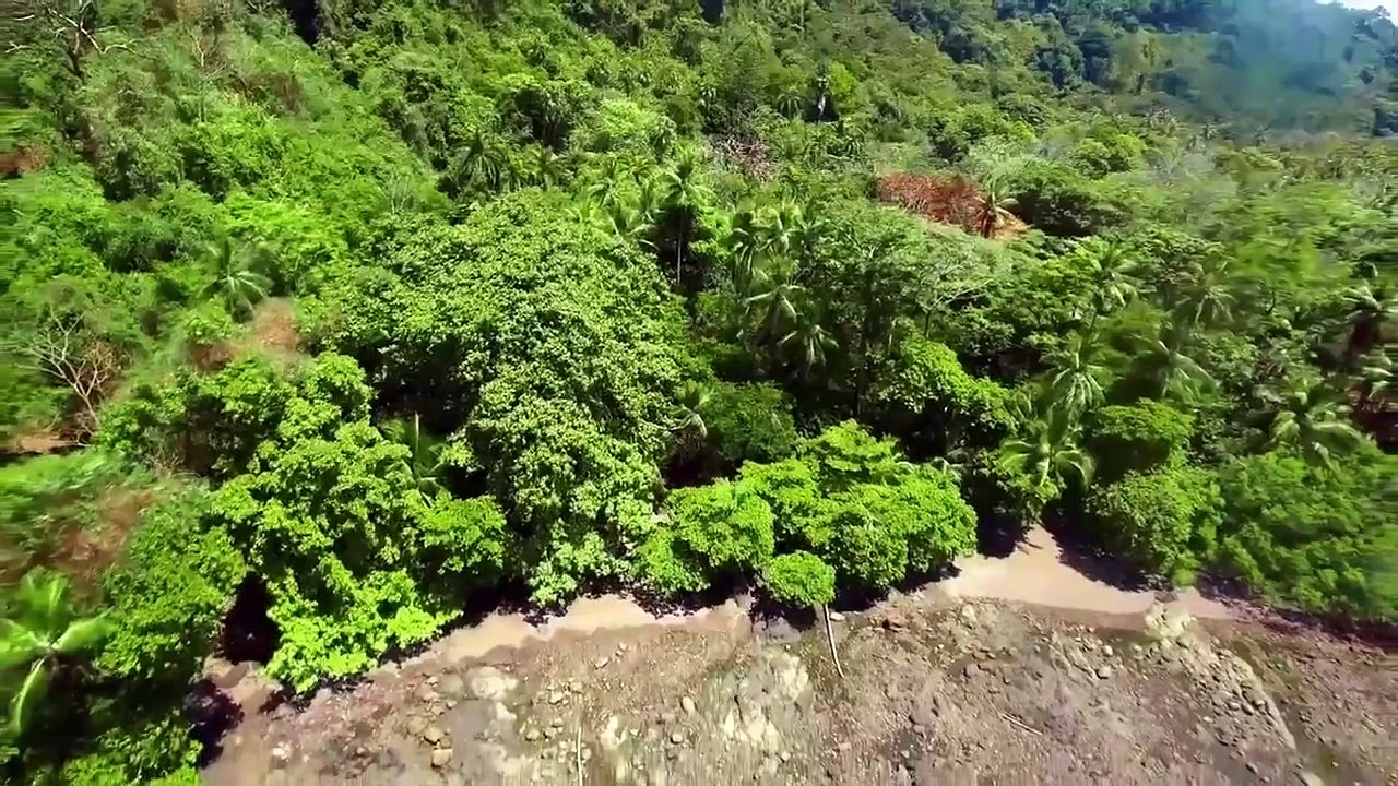 Great Blue Wild - Se2 - Ep08 - Costa Rica HD Watch HD Deutsch