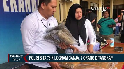 Polisi Sita 73 Kilogram Ganja di Pekanbaru, 7 Orang Ditangkap!
