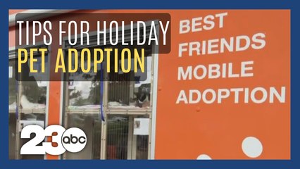 Warnings about pets as holiday gifts