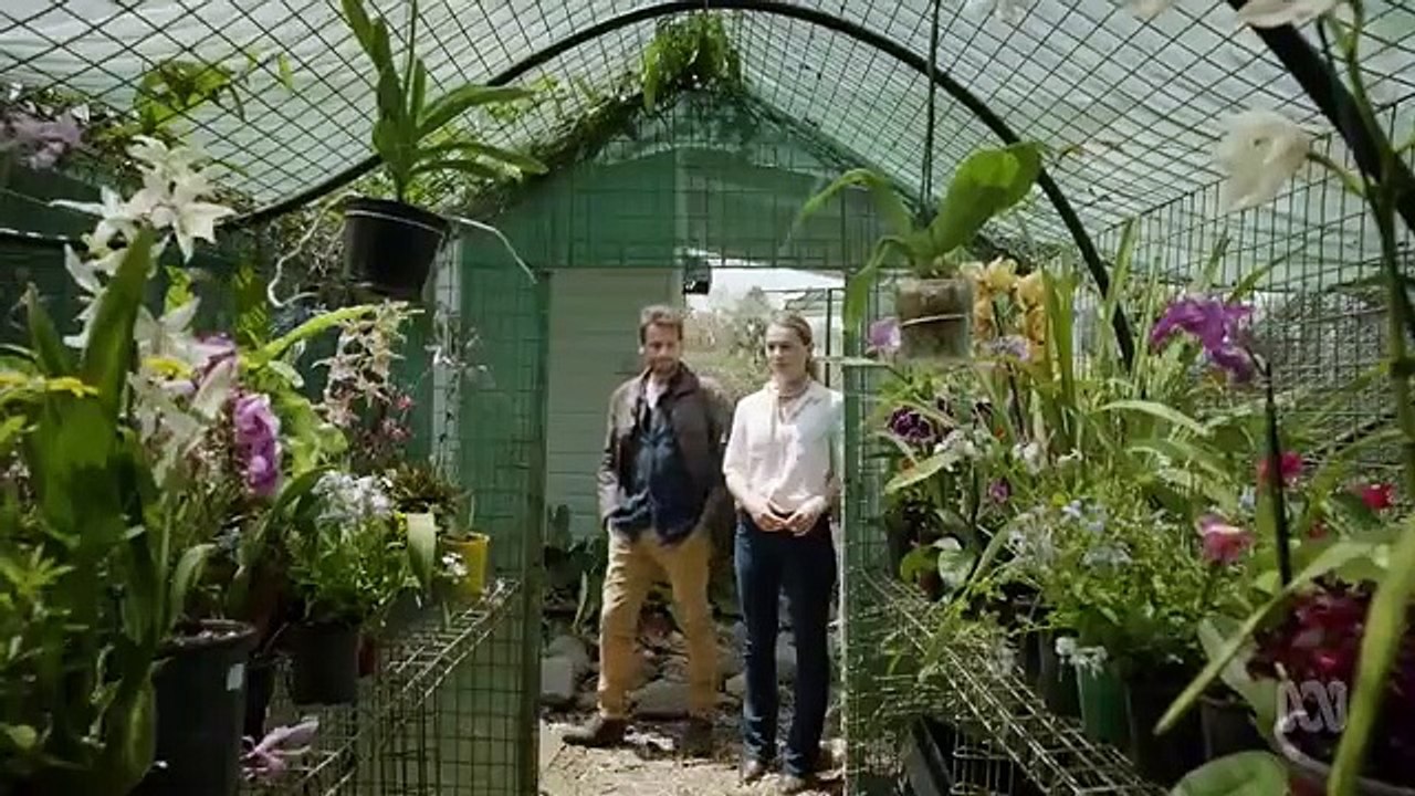 Harrow - Se1 - Ep07 - Pia Mater HD Watch HD Deutsch